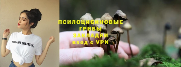 амф Краснослободск