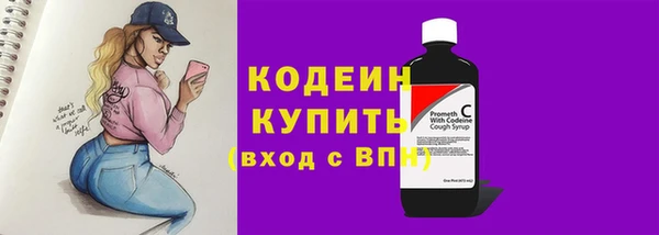 прущие грибы Краснотурьинск