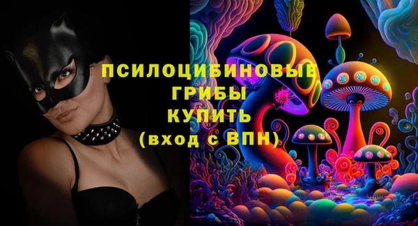 прущие грибы Краснотурьинск