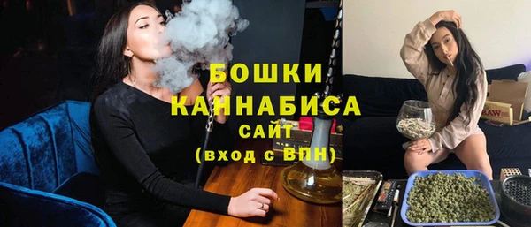прущие грибы Краснотурьинск