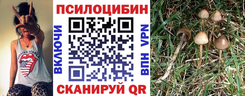 Купить закладки  Ладушкин  Галлюциногенные грибы Psilocybe 